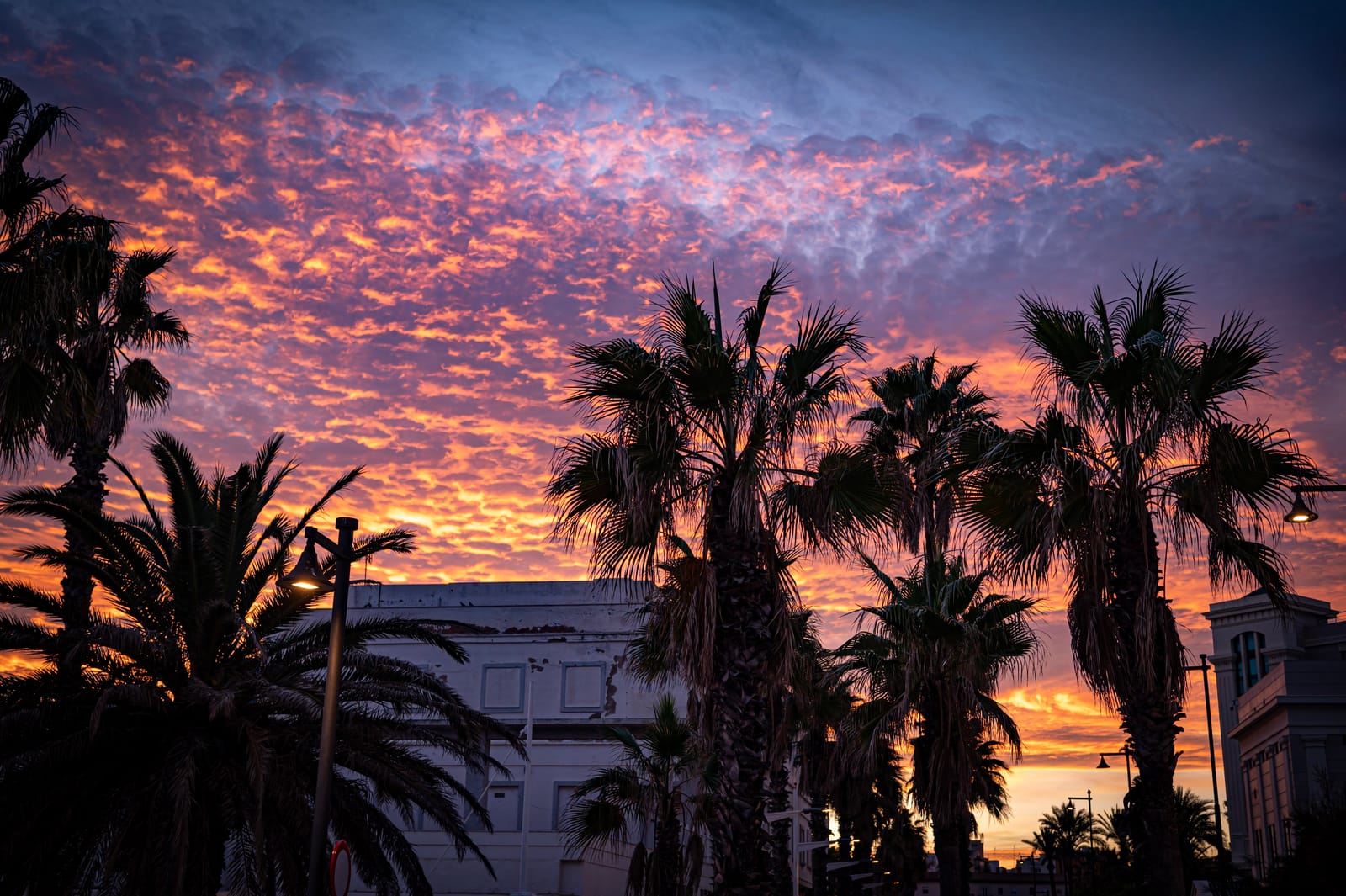 Maratón Valencia dla początkujących, czyli "therapy was also an option" (część 3) obraz wpisu