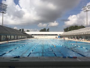 PPP#1: Poniedziałeczkowe Podsumowanie Pływackie obraz wyróżniający wpis