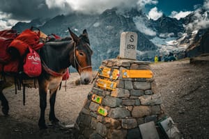 Fastpacking UTMB 4/6: Sielanka obraz wyróżniający wpis